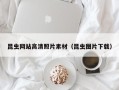 永新昆虫网站高清照片素材（昆虫图片下载）